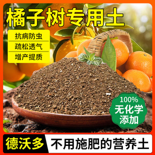橘子树专用土营养土庭院果树沙糖橘盆栽土壤桔子泥土通用种植土壤