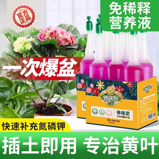 营养液植物通用型花肥料室内发财树绿萝富贵竹专用免稀释花卉盆栽