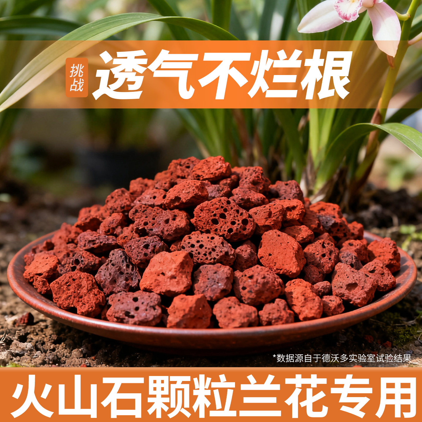 火山石颗粒兰花专用营养土疏松透气兰花种植专用土火山石滤材鱼缸,鲜花速递/花卉仿真/绿植园艺,介质/营养土,淘宝优惠券,粉丝福利购,淘宝优惠卷