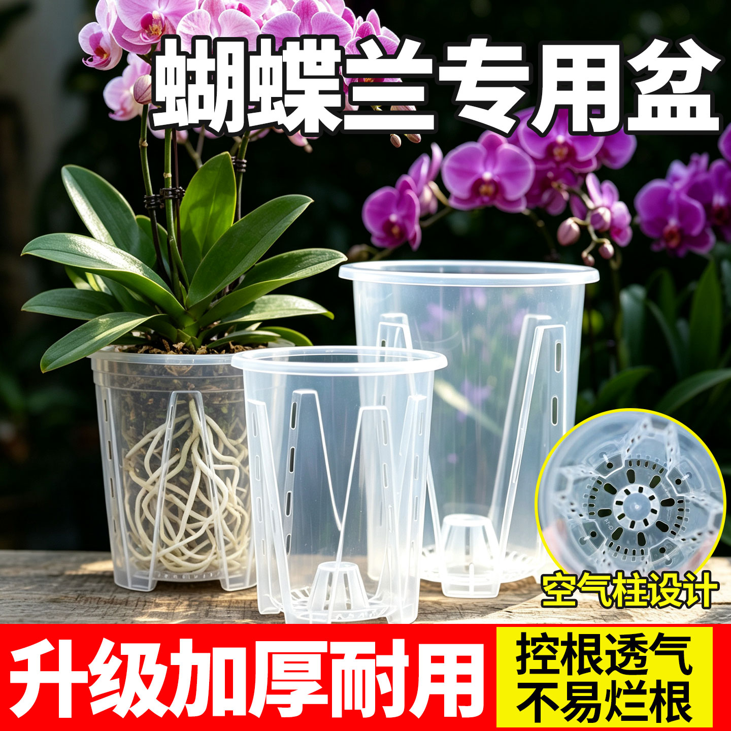 水苔蝴蝶兰专用花盆透明控根加厚图片