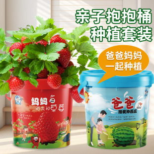 儿童种植小盆栽亲子抱抱桶西瓜草莓种植园种籽子植物趣味学生套装