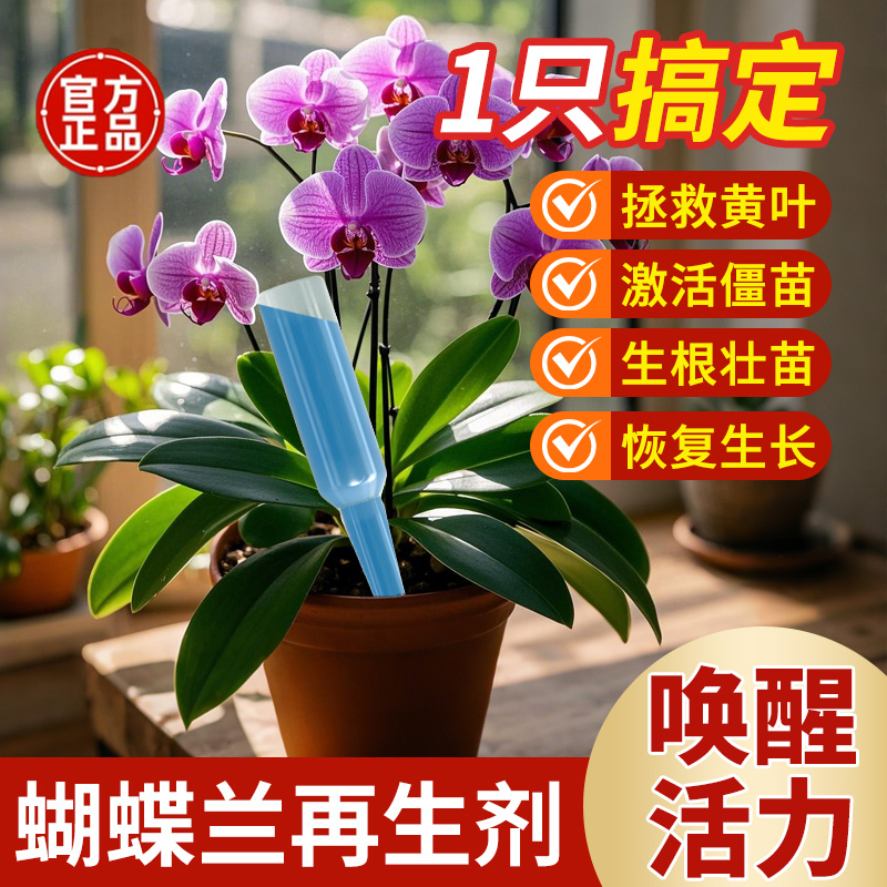 蝴蝶兰再生剂复活液兰花君子兰