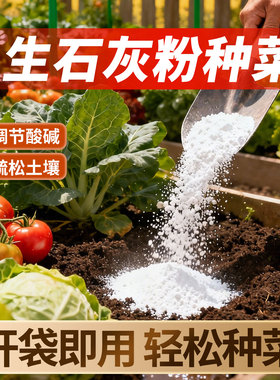 生石灰粉杀虫种菜高纯度农业刷果树木涂白剂石灰粉杀虫种菜干燥剂