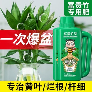 富贵竹营养液肥料专用肥观音竹家用竹子转运竹水培植物通用有机肥