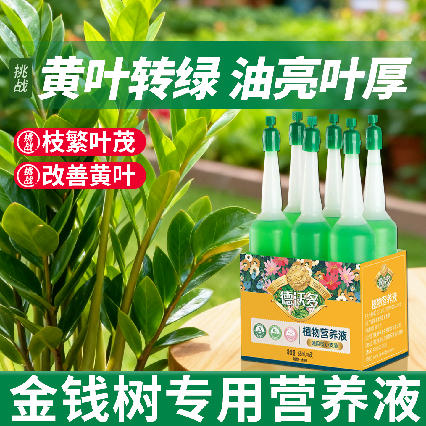 金钱树专用营养液治黄叶烂根室内盆栽氮磷钾肥料绿植花通用水溶肥