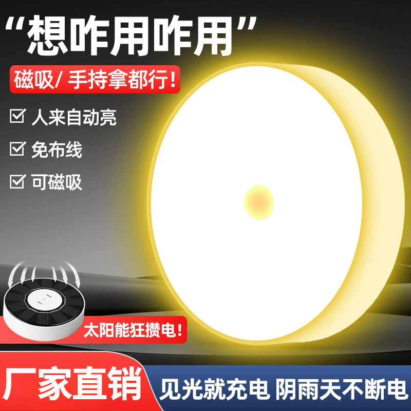 太阳能人体感应充电户外小夜灯图片