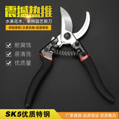 sk5苗木修枝剪 果树园艺鸟嘴剪刀 水果花木剪 花木园林工具