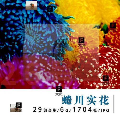 摄影集蜷川实花作品集日系胶片写真商业广告时尚参考美术设计素材