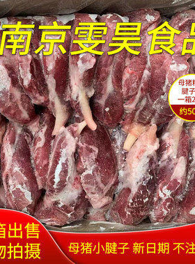 质量猪肉母猪包邮冷冻腱子肉