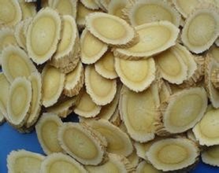 黄芪药材提取物 提取浓缩粉末 黄芪多糖  黄芪甲苷(甲甙)5%