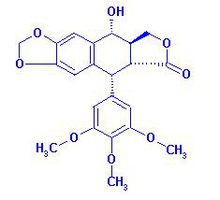 鬼臼毒素98% 2g袋 桃儿七提取物 518-28-5 苦鬼臼毒