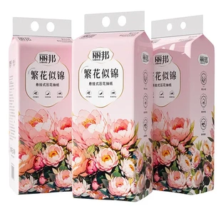 麗邦大包擦手紙加量裝 家用整箱懸掛式 抽紙面巾紙衛(wèi)生紙巾宿舍平板