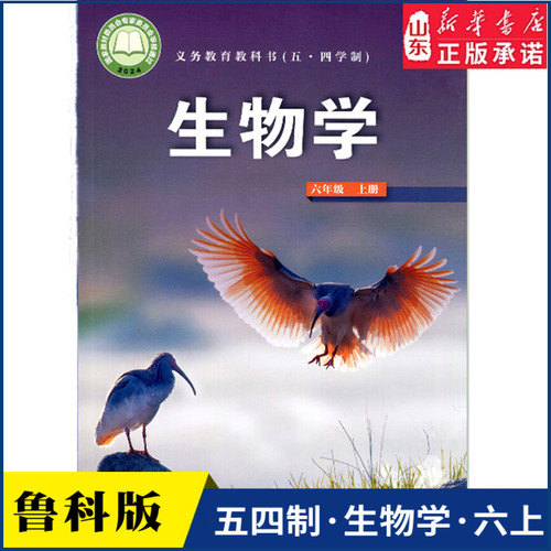 中学六年级上册鲁科版教材