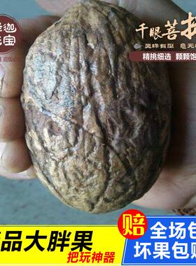 厘米手把件菩提子原籽