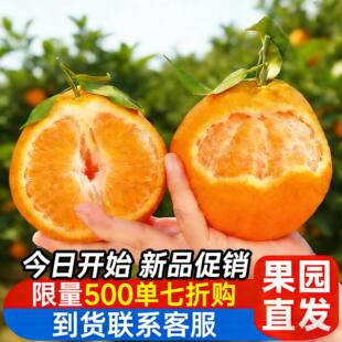 正宗四川春见耙耙柑桔子粑粑柑当季现摘整箱果园直发新鲜水果助农