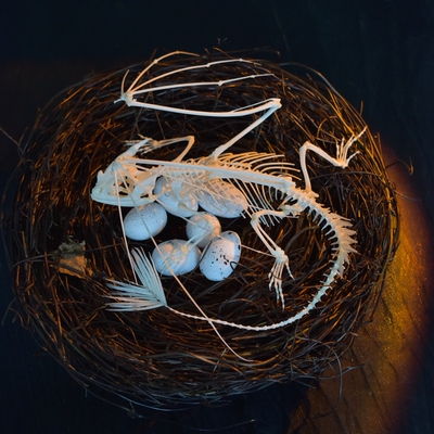 Toothless摆件自由的骨头真骨