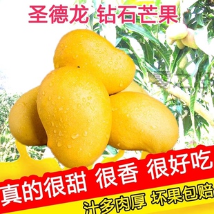 云南圣德龙精品芒果新鲜现货盛的隆树上熟大果香甜缅甸钻石芒10斤