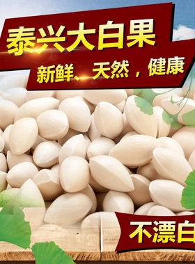 2025年秋季新白果5斤新鲜农家生白果银杏果泰兴大佛指包邮