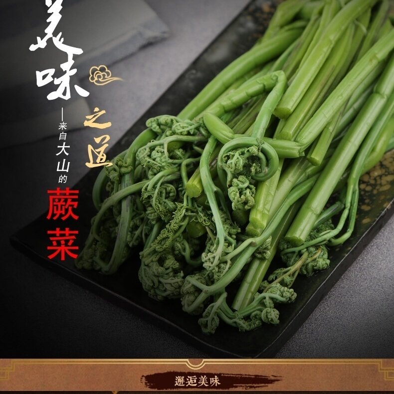 清水蕨菜含水300克包装野菜清水蕨菜非即食清水龙爪菜凉拌山野菜