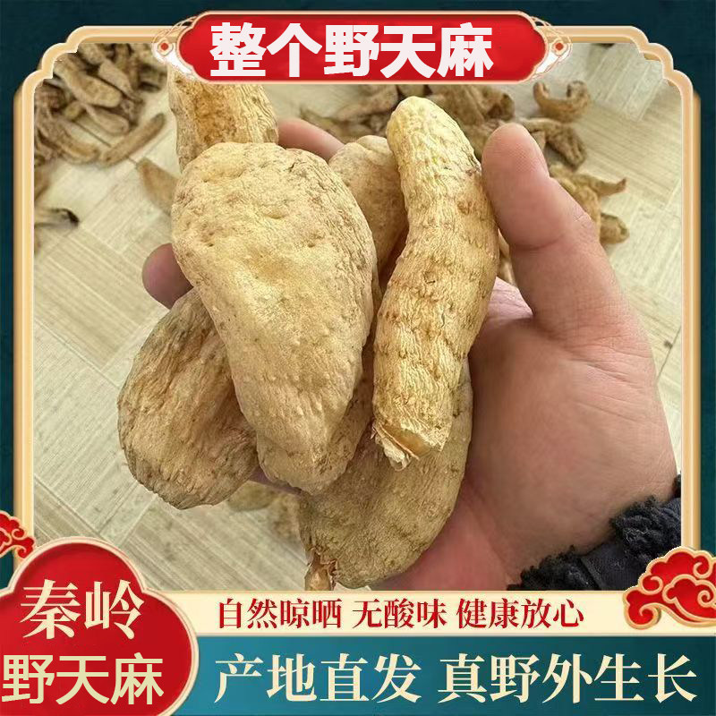 整个野天麻陕西特产天麻正宗秦岭深山天麻干货天麻干天麻整个