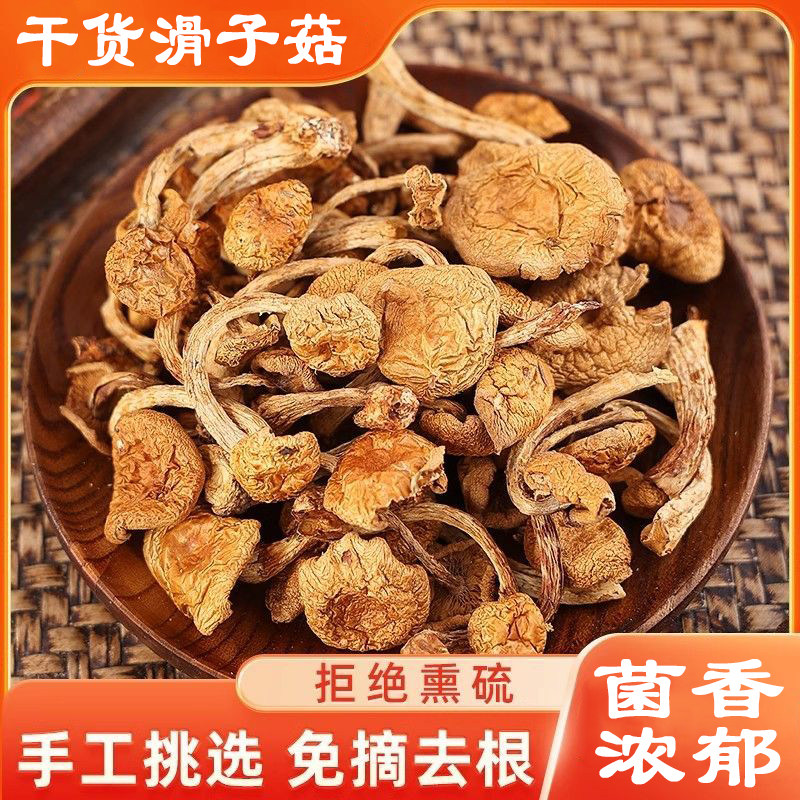 干货滑子菇新货滑子菇干货菇香浓郁批发黄蘑菇顺滑袋装滑子菇100g