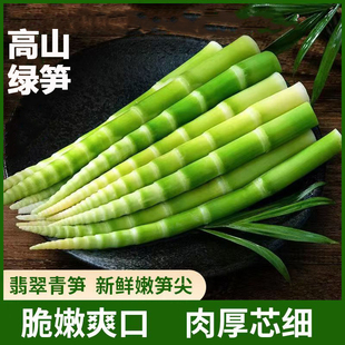 高山绿笋清水高山绿笋火锅麻辣烫串串炒菜笋脆嫩绿笋尖绿竹笋餐饮