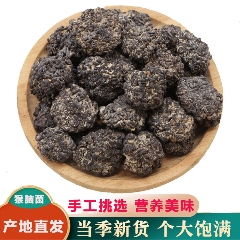 猴脑菌猴脑菇猴脑菌菇干货核桃菌黑球菌菇酒店商用食材特产猴脑菇
