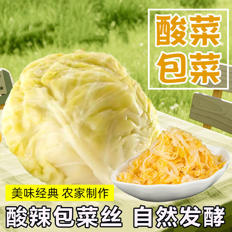 酸辣包菜丝袋装切丝包菜下饭菜农家手工泡卷心菜泡包菜丝酸辣可口