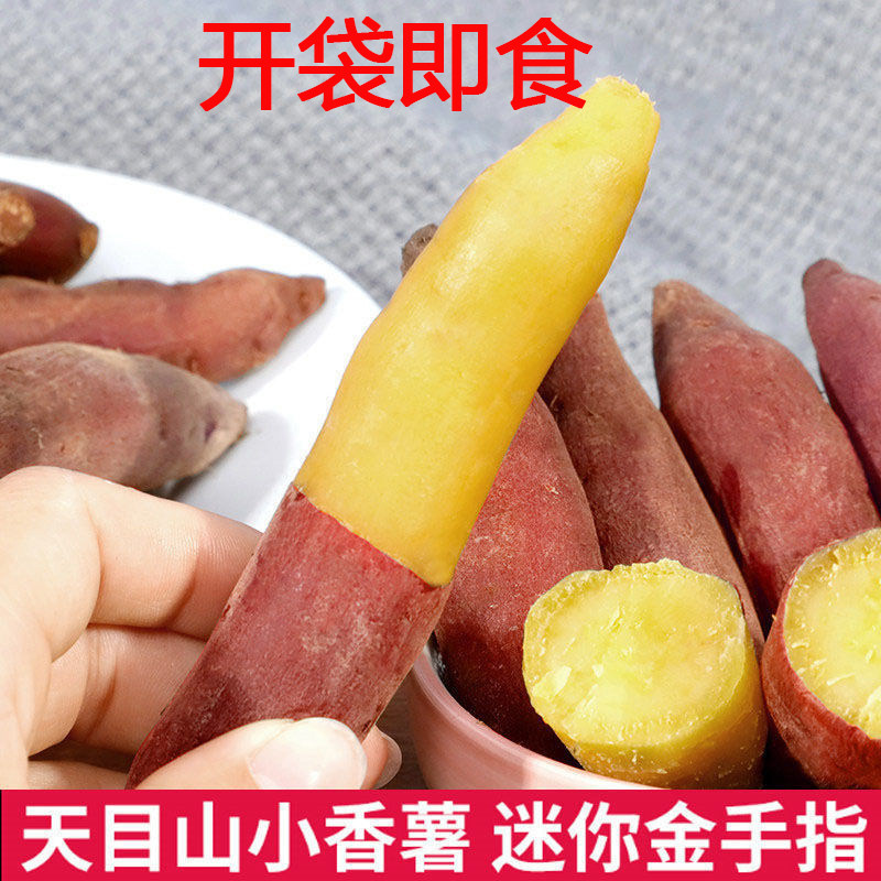 即食迷你小红薯正宗天目山小香薯板栗薯红薯香甜地瓜蜜薯沙地种植