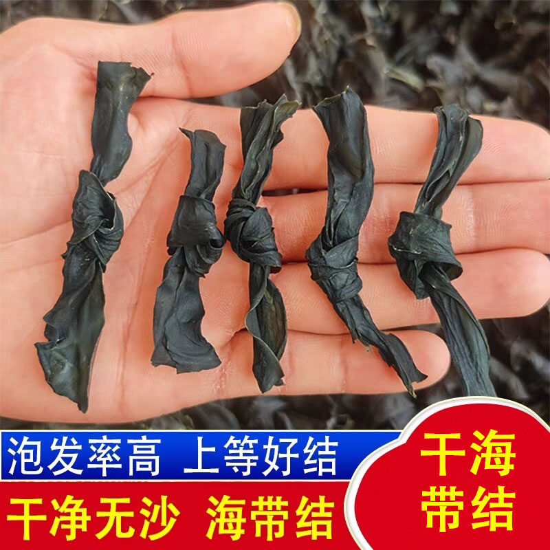 干海带结干海带结厚实干海带煲汤火锅凉拌麻辣烫好物干海带