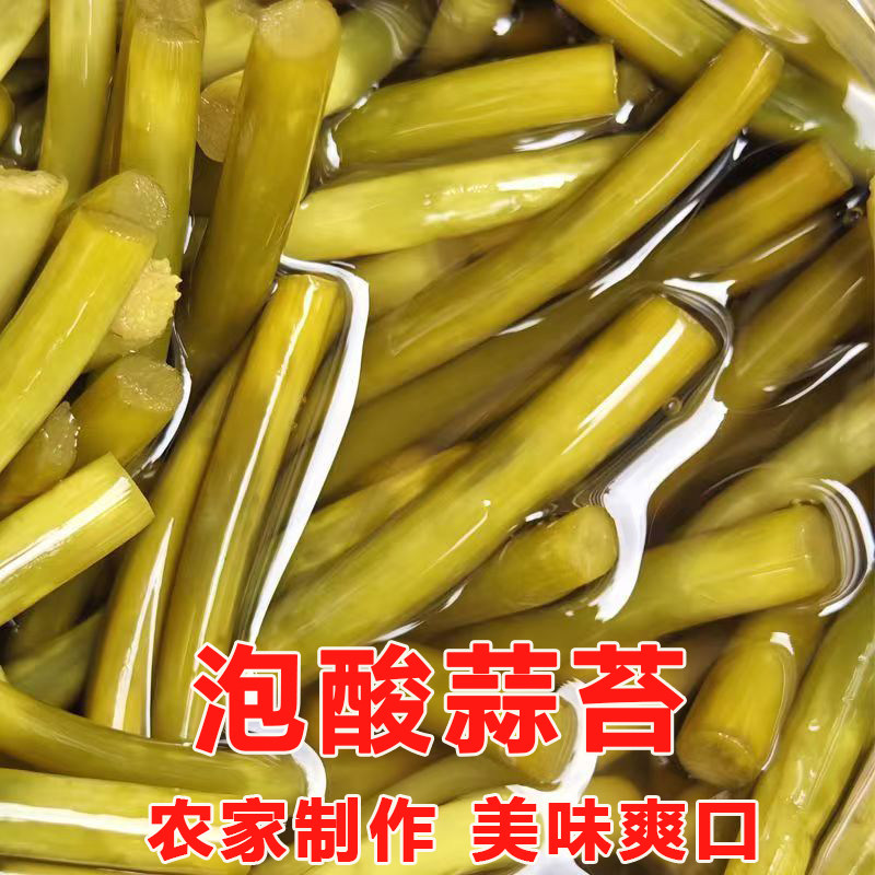 酸蒜苔陕西手工泡制入味嫩蒜苔酸爽可口农家私房泡菜袋装250g批发