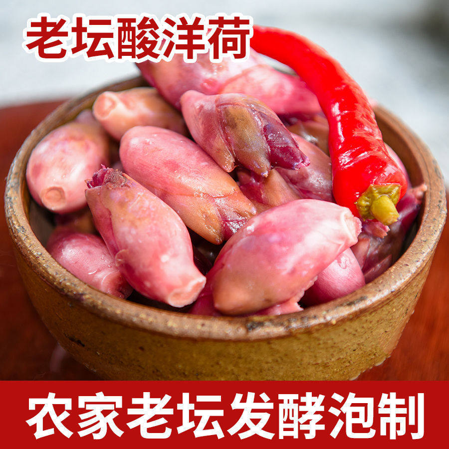 酸辣阳荷姜老坛泡制酸辣阳荷笋洋火姜陕南特产下饭菜现货酸辣开胃