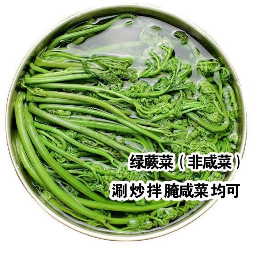 清水绿蕨菜水蕨菜新鲜蕨菜新鲜山野菜山蕨菜猴腿菜清炒凉拌1000g