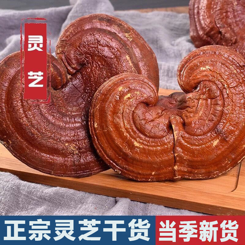 灵芝干货正宗灵芝干货灵芝整枝灵芝炖汤泡酒煮水地道选材泡酒包邮
