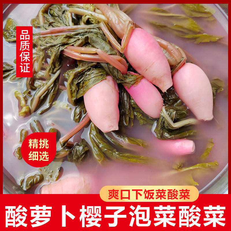 酸萝卜缨子酸菜特产萝卜菜泡菜新鲜萝卜菜叶子萝卜缨泡制手工制作