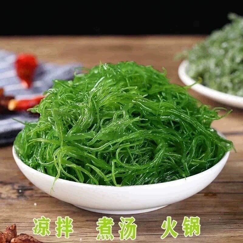 盐渍龙须菜海草福建龙须菜海菜凉拌菜龙须菜食材麻辣烫火锅