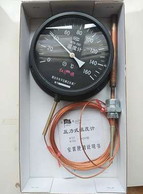 WTZ-280红旗压力式温度计指针式工业锅炉水油温度表远传测温仪