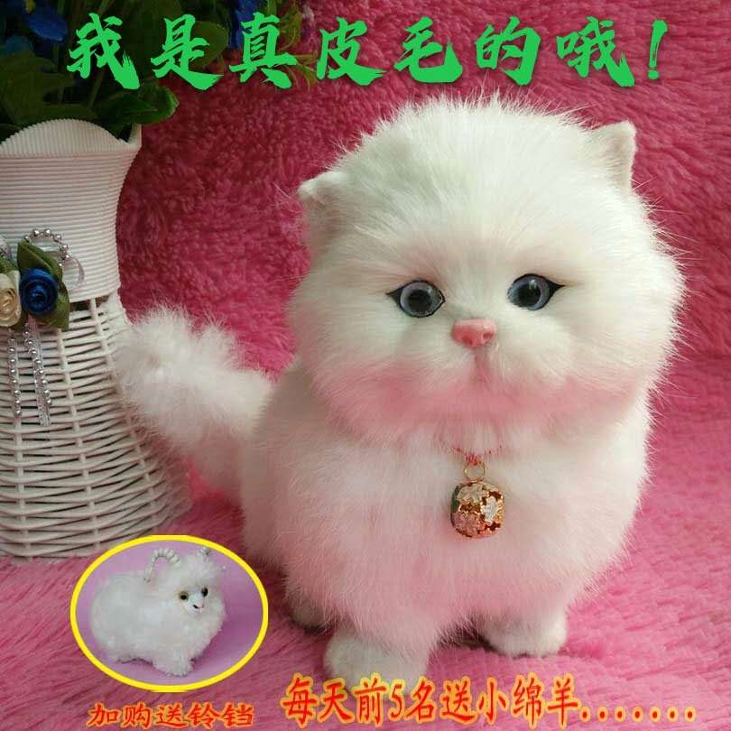 可爱会叫毛绒小摆件模型仿真动物