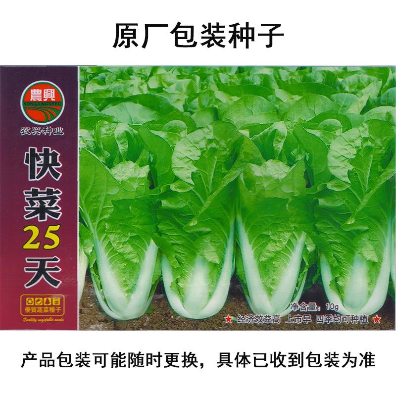 25天快菜速生小白菜种子四季播阳台盆栽抗病耐热耐热