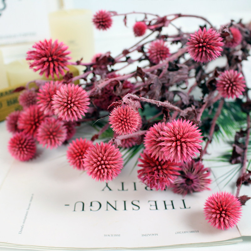 永生花蓝星球干花软装图片