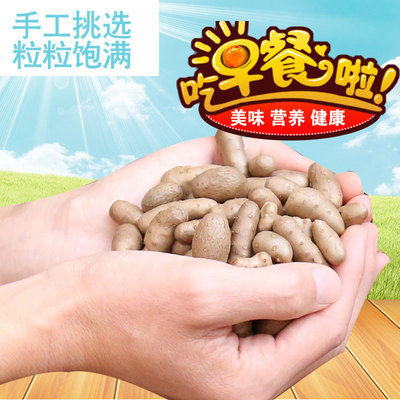 河南焦作山药豆新鲜现摘