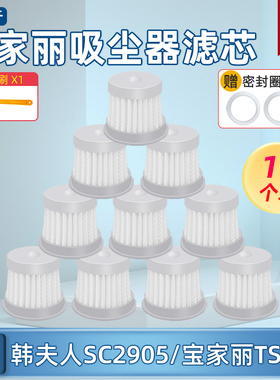 适配宝家丽除螨仪吸尘器TS988H CM168 T1 P9 BD-215滤芯滤网配件
