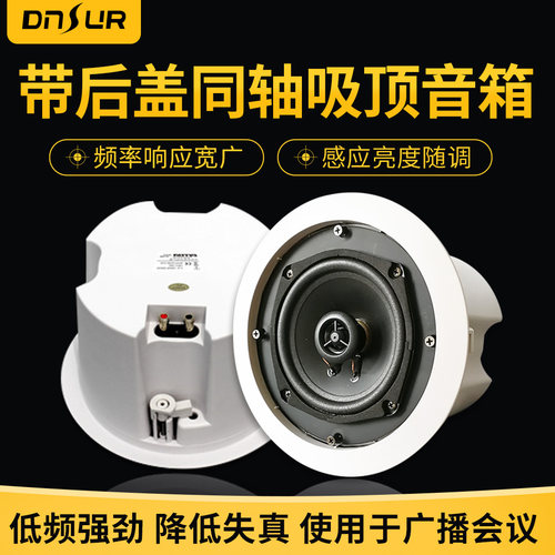 DNSUR带后盖同轴定压吸顶喇叭