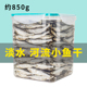 冻干猫零食小鱼干淡水河鱼干营养肉干幼猫猫咪零食磨牙