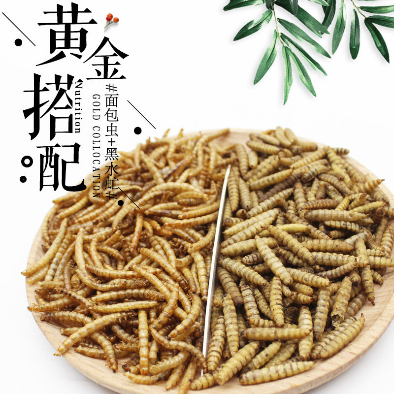 营养鱼食面包虫干黑水虻干罗汉鱼血鹦鹉金龙鱼增色鱼粮观赏鱼饲料|ruв категории животное/Животное питание и принадлежностей, аквариум мира, декоративные рыбы кормов - от Buy2taobao.com для оказания профессиональной услуги покупки агента Taobao