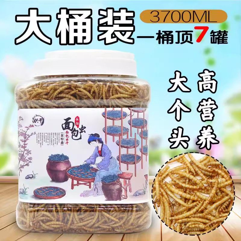 乌龟饲料鱼粮面包虫大麦虫