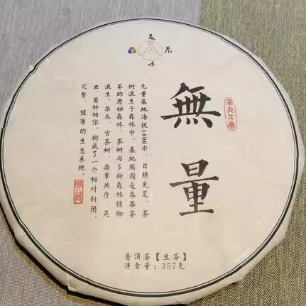 2021年无量山普洱早春乔木老树