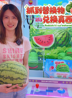 8寸（绿西瓜）替换物1个