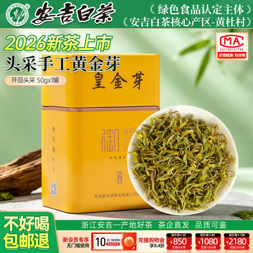 【核心产区】手工头采奶白黄金芽