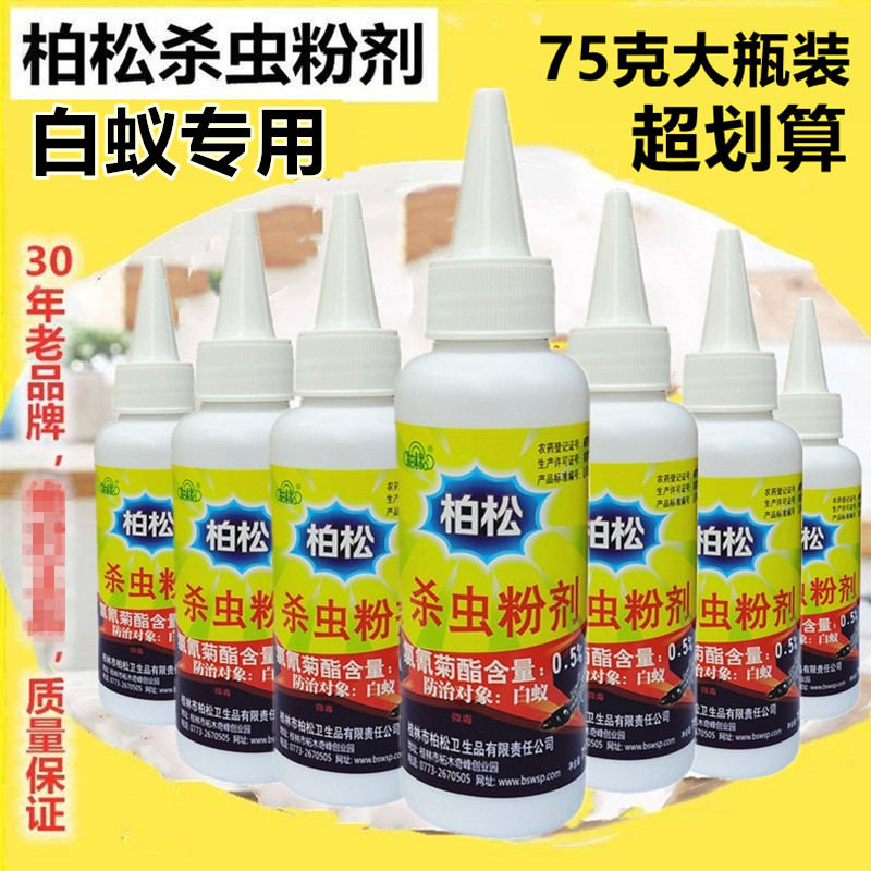 柏松白蚁粉末状一窝端传染图片